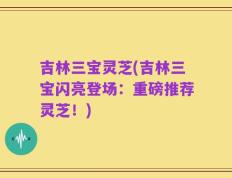 吉林三宝灵芝(吉林三宝闪亮登场：重磅推荐灵芝！)