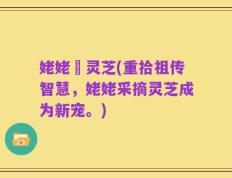 姥姥釆灵芝(重拾祖传智慧，姥姥采摘灵芝成为新宠。)