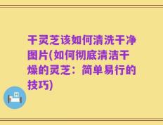 干灵芝该如何清洗干净图片(如何彻底清洁干燥的灵芝：简单易行的技巧)
