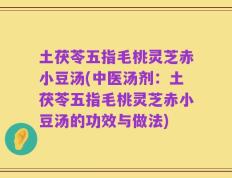 土茯苓五指毛桃灵芝赤小豆汤(中医汤剂：土茯苓五指毛桃灵芝赤小豆汤的功效与做法)