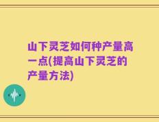 山下灵芝如何种产量高一点(提高山下灵芝的产量方法)