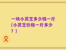 一块小灵芝多少钱一斤(小灵芝价格一斤多少？)