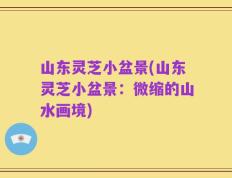 山东灵芝小盆景(山东灵芝小盆景：微缩的山水画境)
