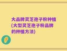 大品牌灵芝孢子粉种植(大型灵芝孢子粉品牌的种植方法)