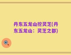 丹东五龙山挖灵芝(丹东五龙山：灵芝之都)