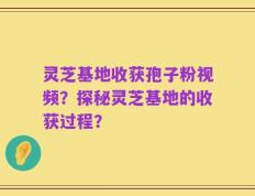 灵芝基地收获孢子粉视频？探秘灵芝基地的收获过程？