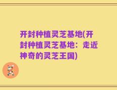 开封种植灵芝基地(开封种植灵芝基地：走近神奇的灵芝王国)