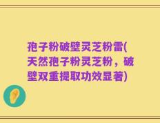 孢子粉破壁灵芝粉雷(天然孢子粉灵芝粉，破壁双重提取功效显著)