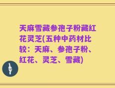 天麻雪藏参孢子粉藏红花灵芝(五种中药材比较：天麻、参孢子粉、红花、灵芝、雪藏)