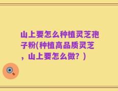 山上要怎么种植灵芝孢子粉(种植高品质灵芝，山上要怎么做？)