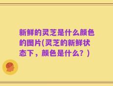 新鲜的灵芝是什么颜色的图片(灵芝的新鲜状态下，颜色是什么？)
