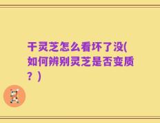 干灵芝怎么看坏了没(如何辨别灵芝是否变质？)