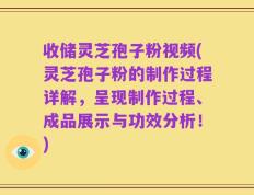 收储灵芝孢子粉视频(灵芝孢子粉的制作过程详解，呈现制作过程、成品展示与功效分析！)