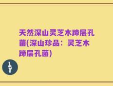 天然深山灵芝木蹄层孔菌(深山珍品：灵芝木蹄层孔菌)