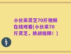 小伙采灵芝70斤视频在线观看(小伙采70斤灵芝，挑战极限！)