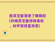 抓灵芝蟹发现了眼镜蛇(珍稀灵芝蟹惊现毒蛇，科学家惊喜异常)