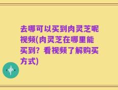 去哪可以买到肉灵芝呢视频(肉灵芝在哪里能买到？看视频了解购买方式)