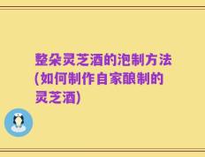 整朵灵芝酒的泡制方法(如何制作自家酿制的灵芝酒)
