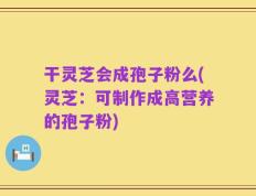 干灵芝会成孢子粉么(灵芝：可制作成高营养的孢子粉)