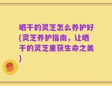 晒干的灵芝怎么养护好(灵芝养护指南，让晒干的灵芝重获生命之美)