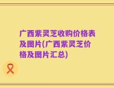 广西紫灵芝收购价格表及图片(广西紫灵芝价格及图片汇总)