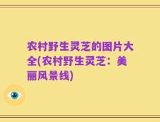 农村野生灵芝的图片大全(农村野生灵芝：美丽风景线)