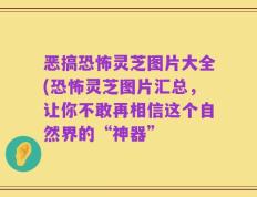 恶搞恐怖灵芝图片大全(恐怖灵芝图片汇总，让你不敢再相信这个自然界的“神器”