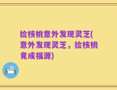 捡核桃意外发现灵芝(意外发现灵芝，捡核桃竟成福源)