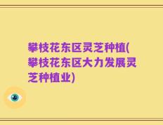攀枝花东区灵芝种植(攀枝花东区大力发展灵芝种植业)