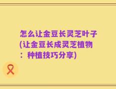 怎么让金豆长灵芝叶子(让金豆长成灵芝植物：种植技巧分享)