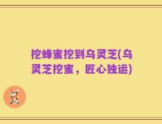 挖蜂蜜挖到乌灵芝(乌灵芝挖蜜，匠心独运)