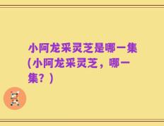 小阿龙采灵芝是哪一集(小阿龙采灵芝，哪一集？)