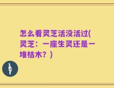 怎么看灵芝活没活过(灵芝：一座生灵还是一堆枯木？)
