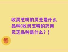 收灵芝粉的灵芝是什么品种(收灵芝粉的药用灵芝品种是什么？)