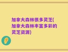 加拿大森林很多灵芝(加拿大森林丰富多彩的灵芝资源)