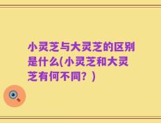 小灵芝与大灵芝的区别是什么(小灵芝和大灵芝有何不同？)