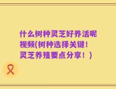 什么树种灵芝好养活呢视频(树种选择关键！灵芝养殖要点分享！)