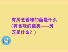 有灵芝香味的菌是什么(有香味的菌类——灵芝是什么？)