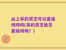 山上采的灵芝可以直接炖鸡吗(采的灵芝能否直接炖鸡？)