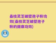 桑枝灵芝破壁孢子粉功效(桑枝灵芝破壁孢子粉的健康功效)