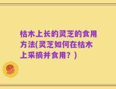 枯木上长的灵芝的食用方法(灵芝如何在枯木上采摘并食用？)
