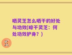 晒灵芝怎么晒干的好处与功效(晾干灵芝：何处功效护身？)