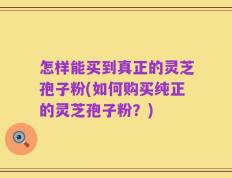 怎样能买到真正的灵芝孢子粉(如何购买纯正的灵芝孢子粉？)