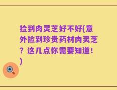 捡到肉灵芝好不好(意外捡到珍贵药材肉灵芝？这几点你需要知道！)