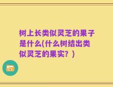 树上长类似灵芝的果子是什么(什么树结出类似灵芝的果实？)