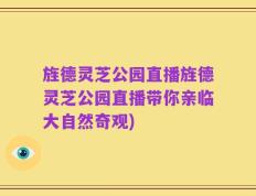 旌德灵芝公园直播旌德灵芝公园直播带你亲临大自然奇观)