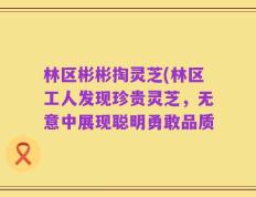 林区彬彬掏灵芝(林区工人发现珍贵灵芝，无意中展现聪明勇敢品质