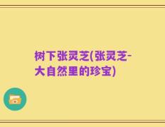 树下张灵芝(张灵芝-大自然里的珍宝)