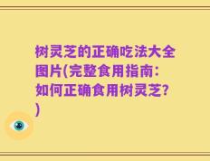 树灵芝的正确吃法大全图片(完整食用指南：如何正确食用树灵芝？)