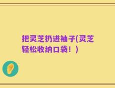 把灵芝扔进袖子(灵芝轻松收纳口袋！)